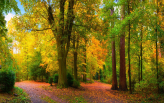  Фотообои Осенний лес Артикул dec_14028 на заказ по своим размерам от ТМ Walldeco в интерьере. Вариант 