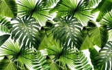  Фотообои Тропическая зелень Артикул u37767 на заказ по своим размерам от ТМ Walldeco в интерьере. Вариант 8