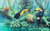  Фотообои Туканы в джунглях Артикул u36358 на заказ по своим размерам от ТМ Walldeco в интерьере. Вариант 6