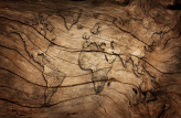  Фотообои Карта мира на дереве Артикул u53146 на заказ по своим размерам от ТМ Walldeco в интерьере. Вариант 