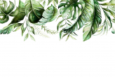  Фотообои Зеленые акварельные тропические листья на белом фоне Артикул u96917 на заказ по своим размерам от ТМ Walldeco в интерьере. Вариант 2