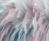  Фотообои Розово-голубые перья Артикул shut_1373 на заказ по своим размерам от ТМ Walldeco в интерьере. Вариант 6