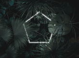  Фотообои Белый шестиугольный неоновый свет с тропическими листьями Артикул u96082 на заказ по своим размерам от ТМ Walldeco в интерьере. Вариант 1