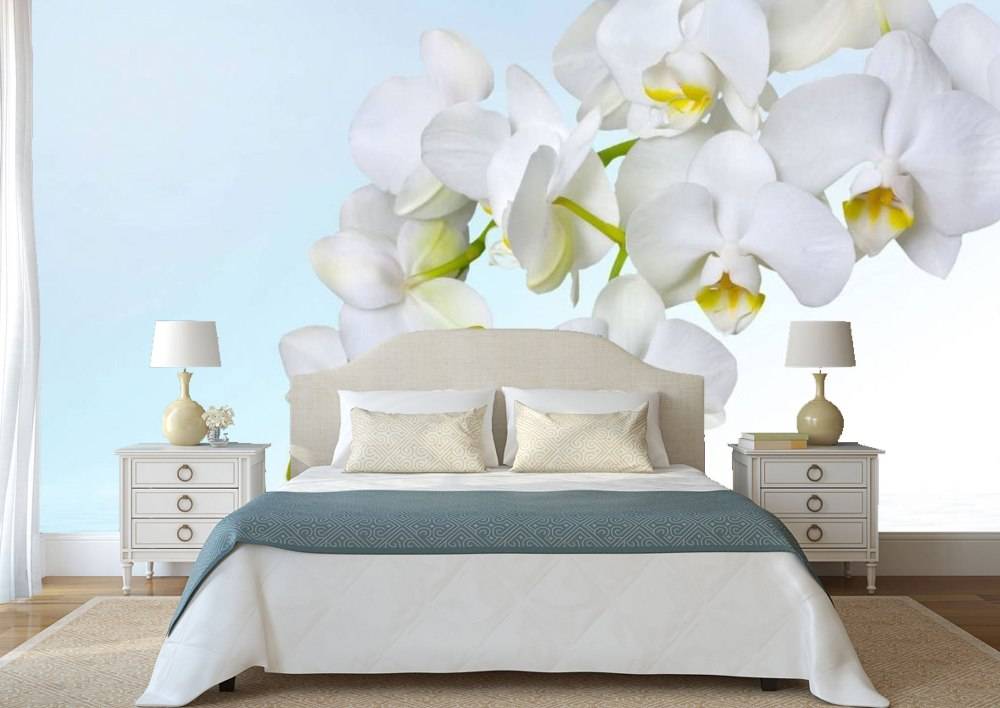 фотообои орхидея в спальне