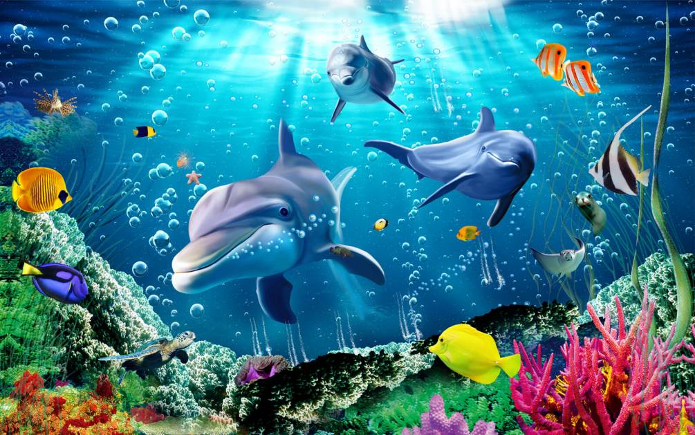 Фотообои Милые дельфины Артикул 50751, купить фотообои на стену ТМ Walldeco