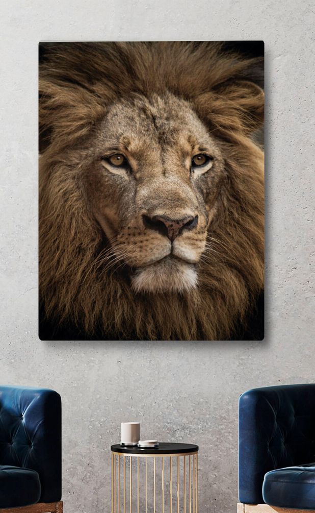 Картина Дикий саванский лев Артикул s34572, купить картину на холсте ТМ Walldeco