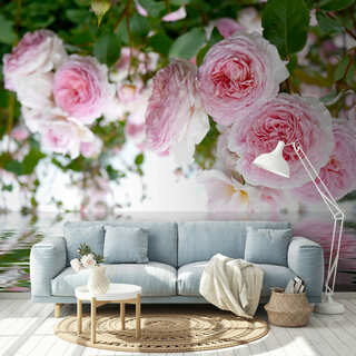 Фотообои розы – купить фотообои с розами на стену в интернет-магазине Walldeco