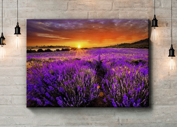 Картина Лавандовое поле на закате Артикул 27663, купить картину на холсте ТМ Walldeco