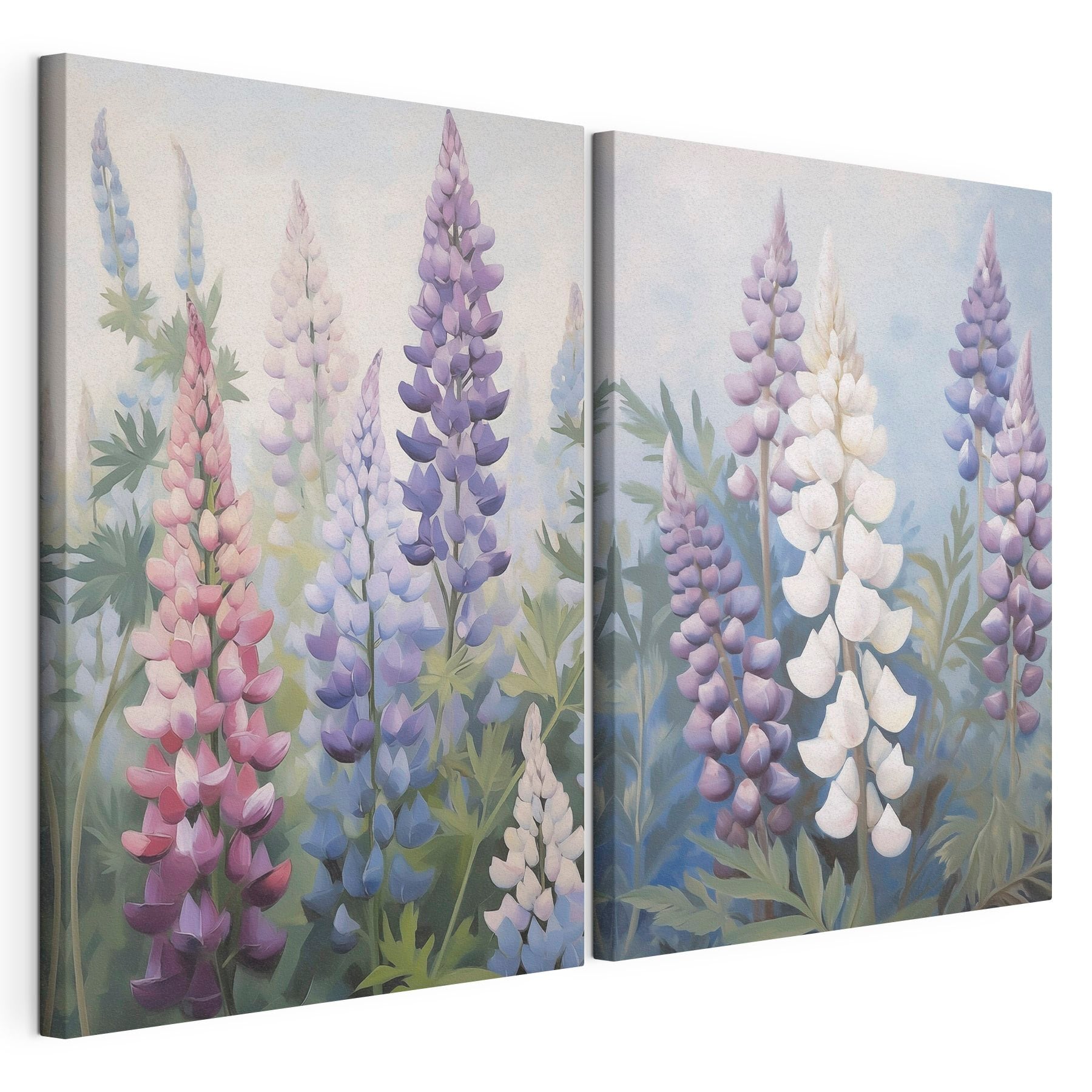 Colorful blooms in soft sunlight