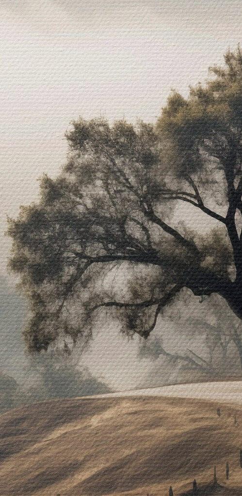 Winding road with a tree on it