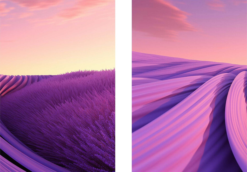 Lavender field with pink and purple sky