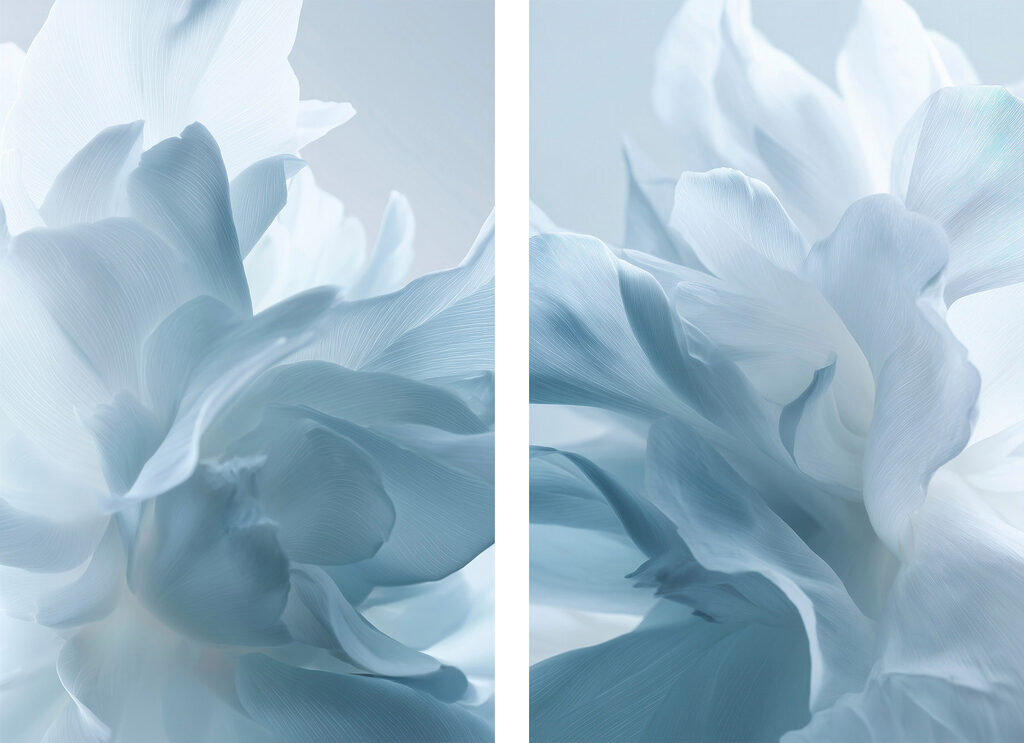 Soft petals in gentle hues