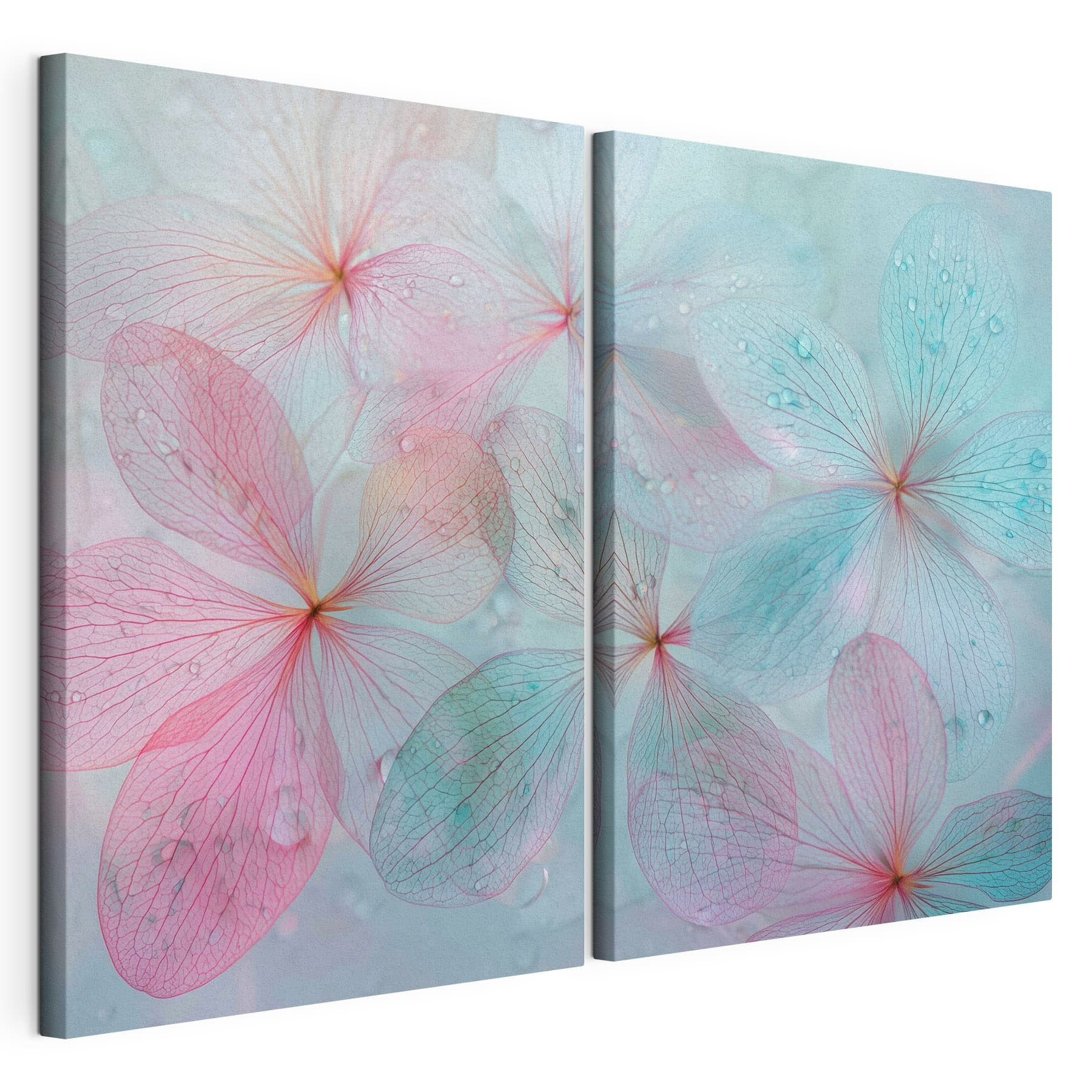 Delicate petals with refreshing droplets