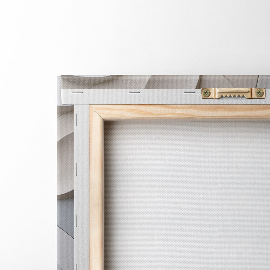 Soft curves in soothing color palette