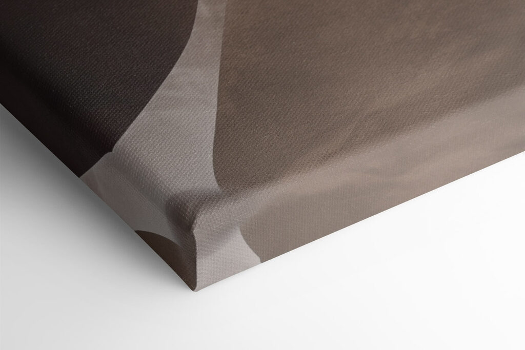 Soft curves meet elegant floral design