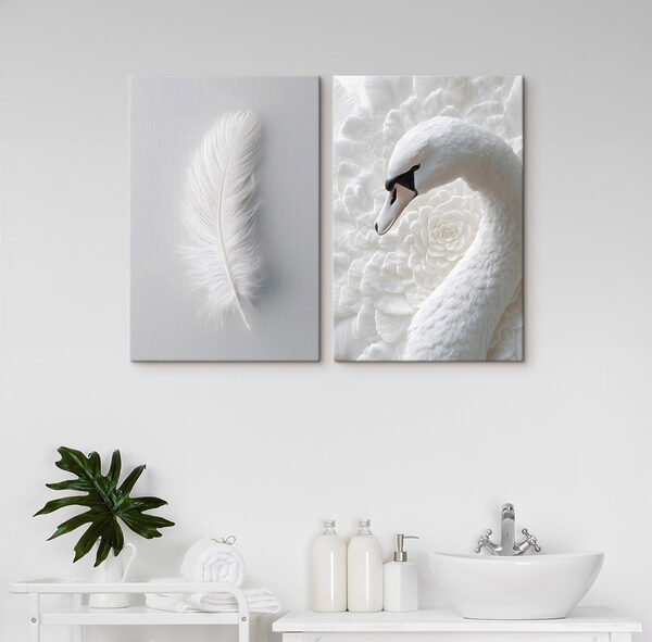 White feather and a swan