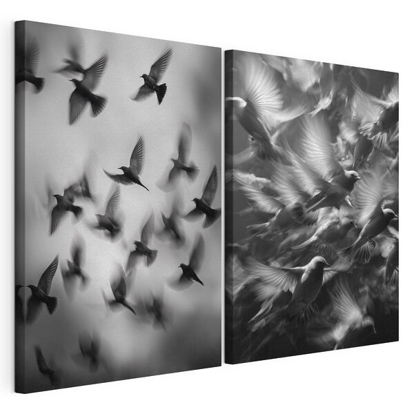 Collage of birds flying
