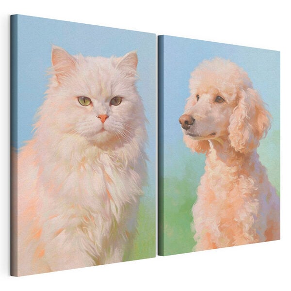 Cat and dog looking at the camera