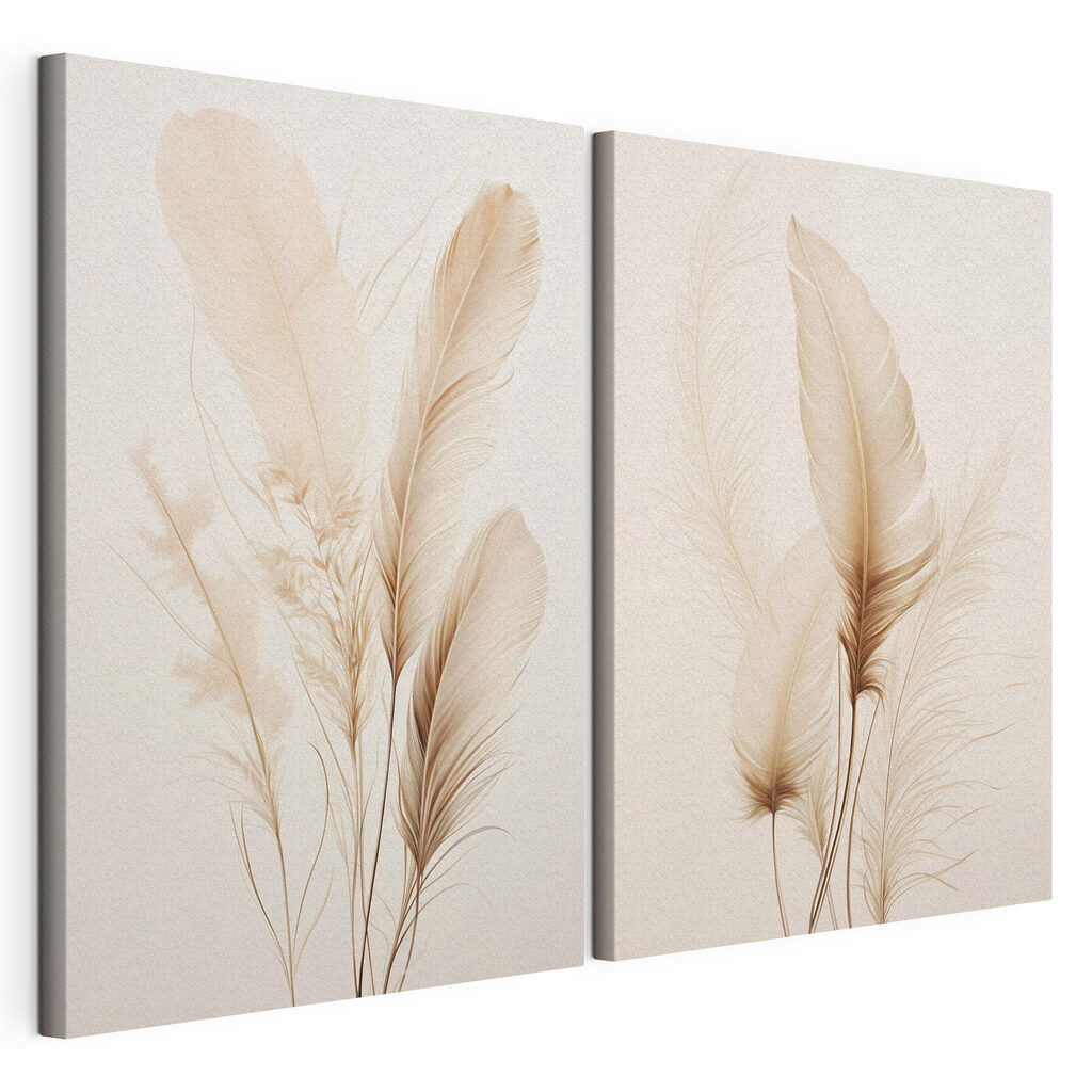 Delicate feathers softly arranged together