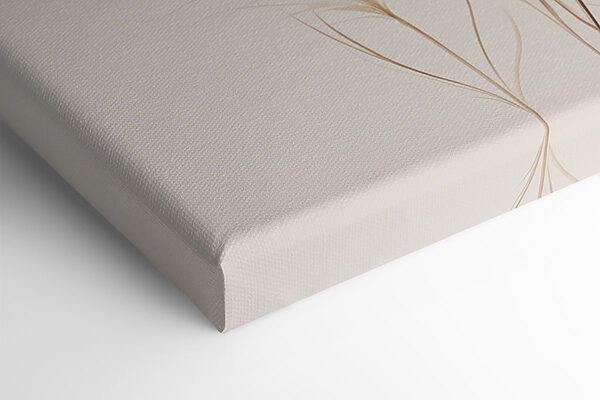 Delicate feathers softly arranged together