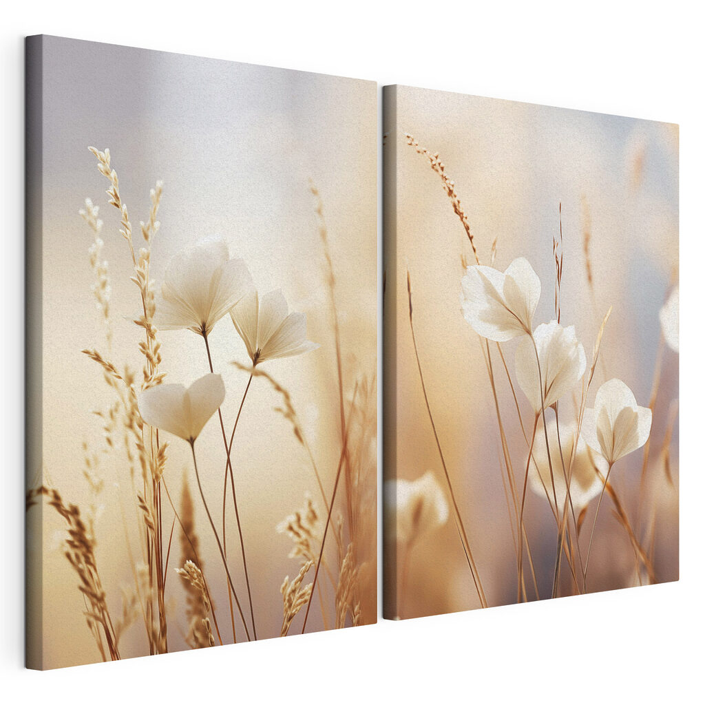Soft petals in gentle sunlight