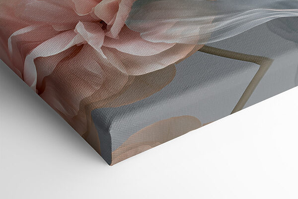Delicate petals in soft colors