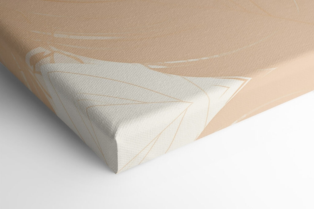 Soft hues of elegant feathers