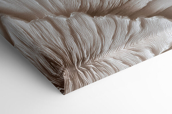- Elegant forms in soft hues
