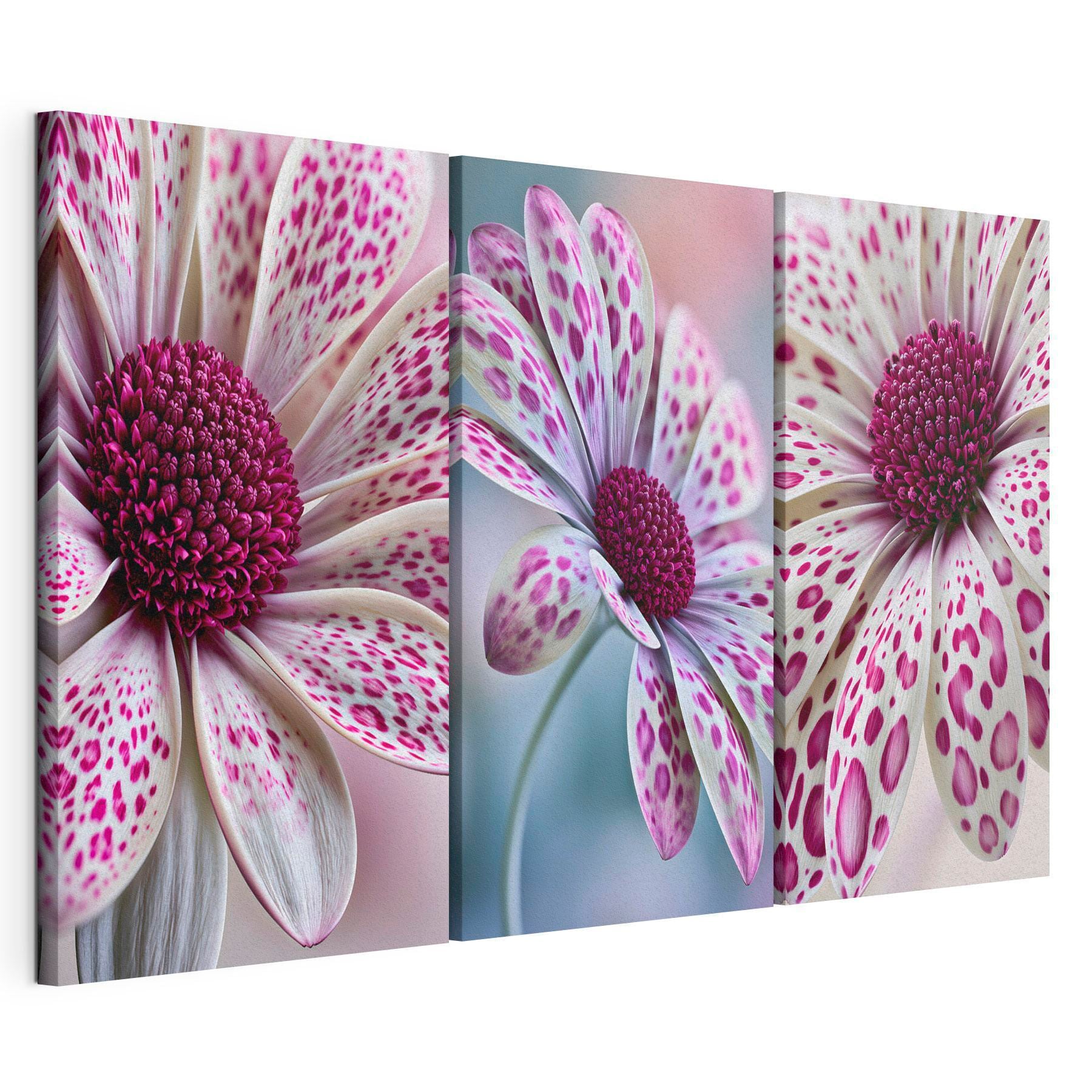 Blooming beauty in vibrant patterns