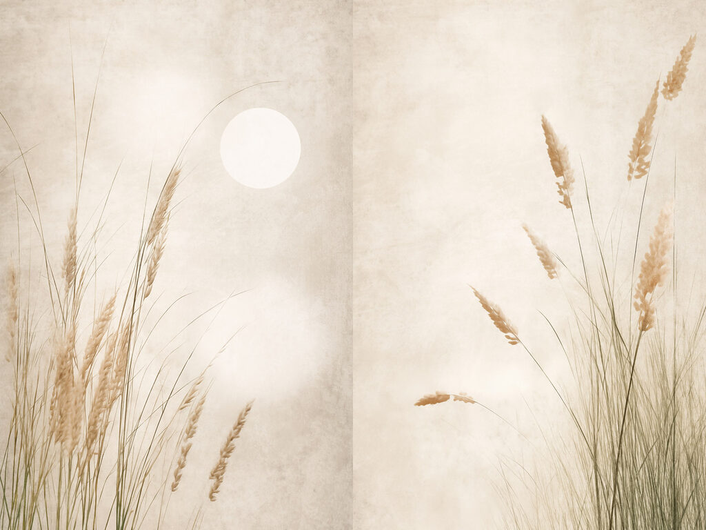 Gentle grasses under a serene sky
