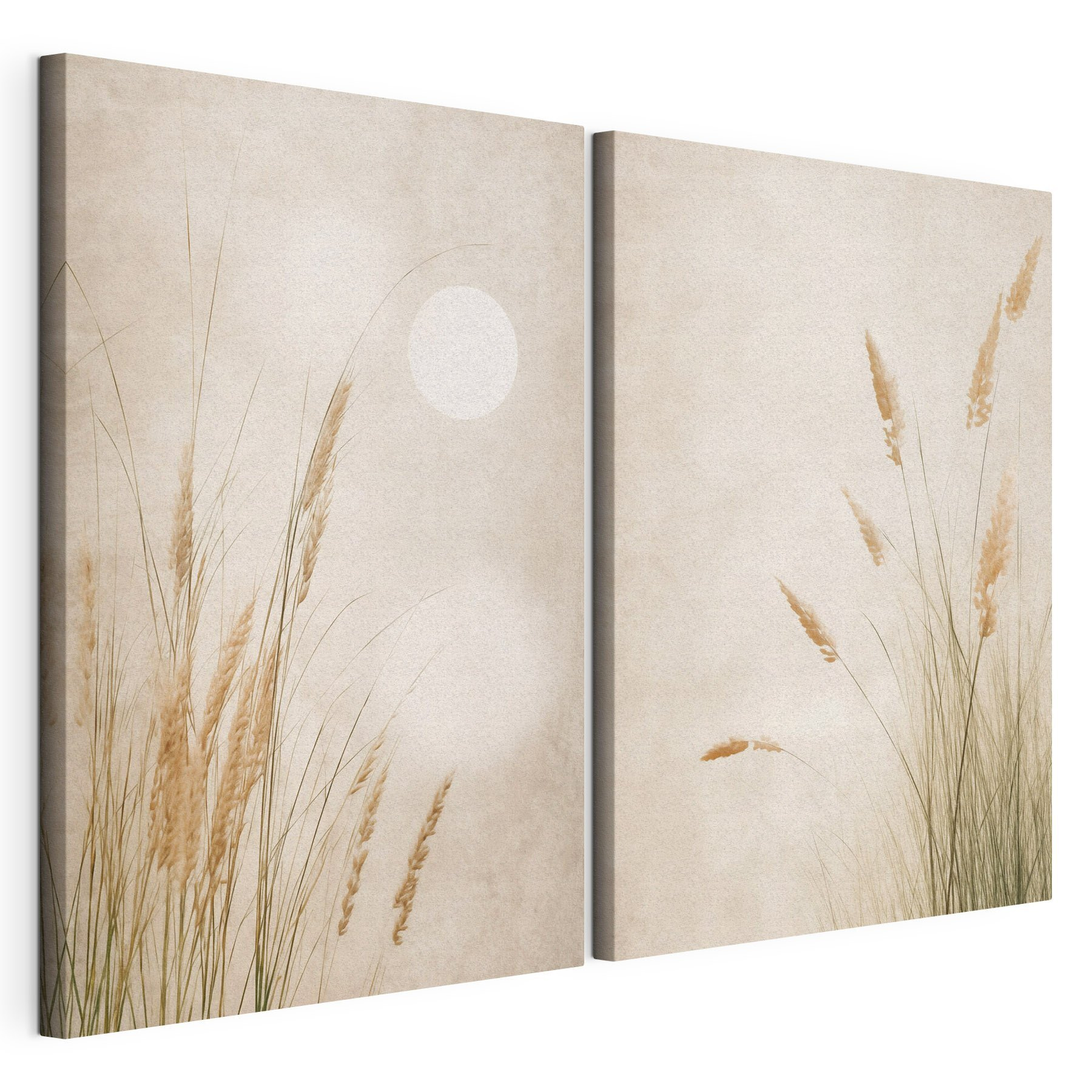 Gentle grasses under a serene sky