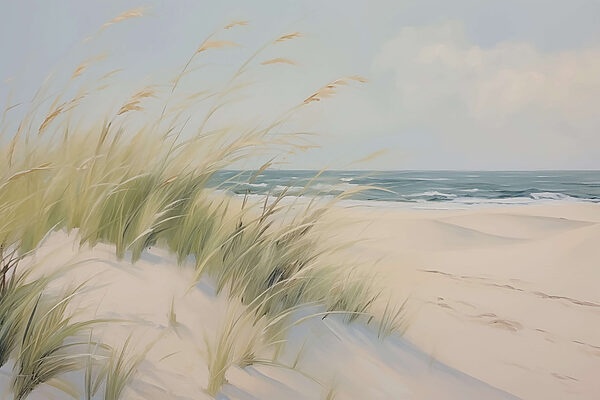Beach with grass and sand Beach with grass and sand