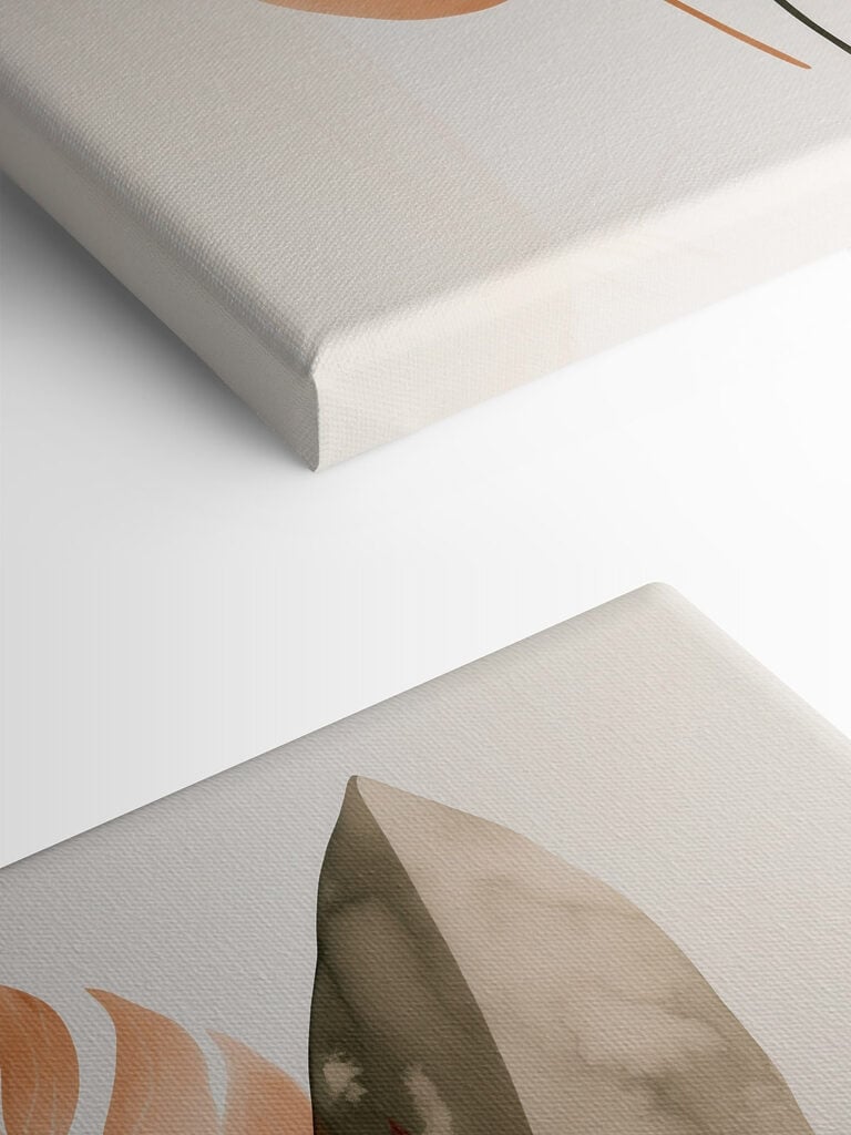 Elegant leaves on a soft background