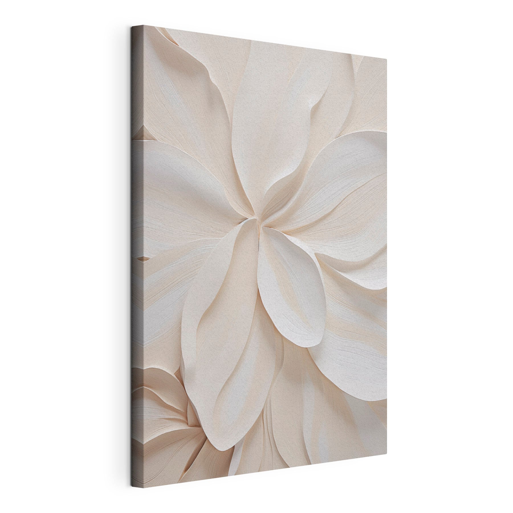 Delicate petals in soft hues