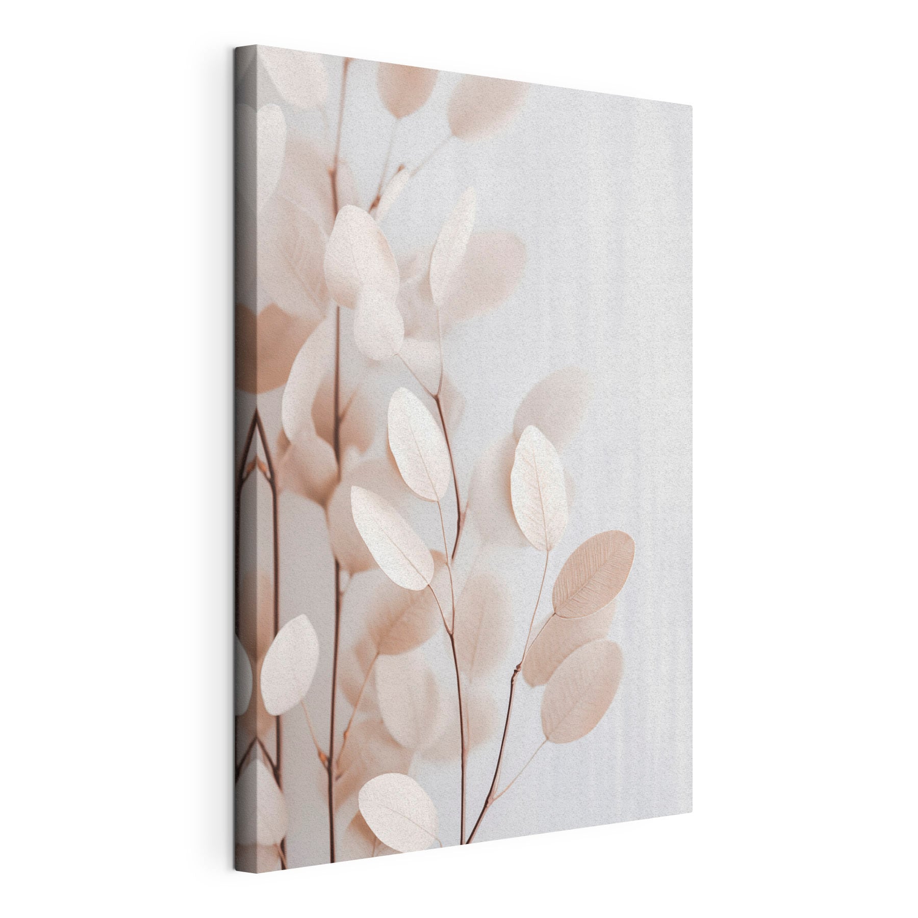 Delicate leaves against a soft background